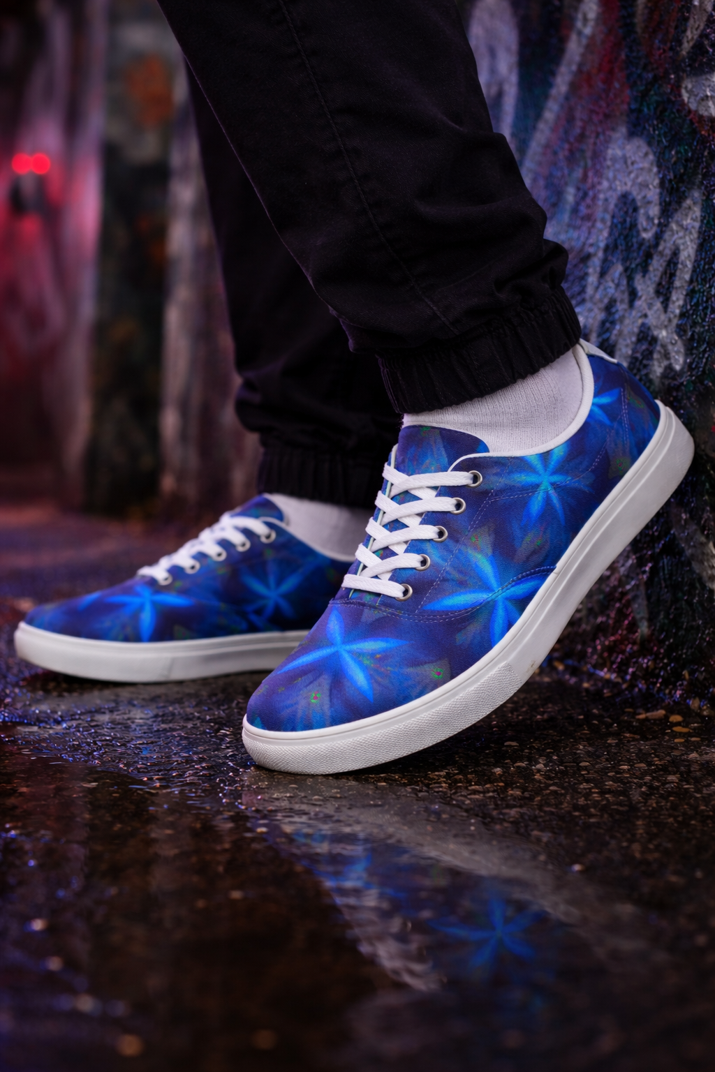 Men’s lace-up canvas shoes Fullmoon
